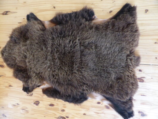 Peau de mouton noire et rousse
